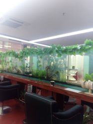 大鱼缸-小左美发