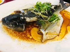 -勒南公舍(龙江店)