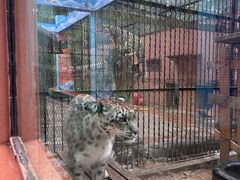 -青藏高原野生动物园