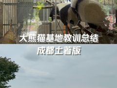 -成都大熊猫繁育研究基地