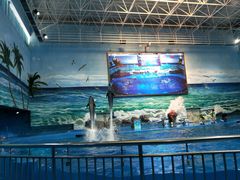 -多彩贵州城极地海洋世界