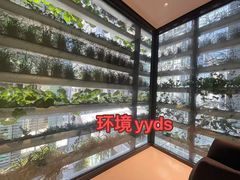 -JT PREP国际学科课程·IB·AP·Alevel(陆家嘴校区)