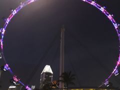 -新加坡摩天观景轮