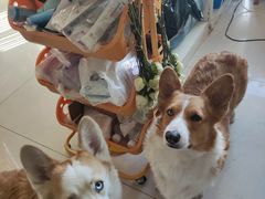 -平行世界·猫咖(首经贸店)