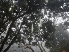 -黄山温泉国际旅游度假区
