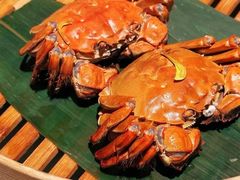 -成隆行·蟹王府(淮海店)