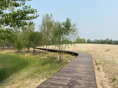 -东郊湿地公园