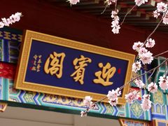 -桃花堤公园