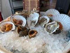 -日进一片海.生腌海鲜火锅.宵夜烧烤(三里屯总店)