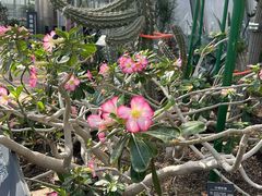 -国家植物园南园