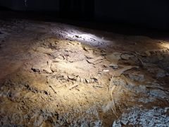 -世界恐龙谷景区