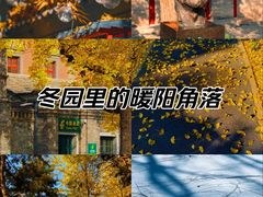 -后海公园