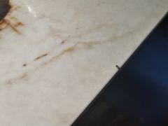 -巡味顺德菜(龙华壹方城店)