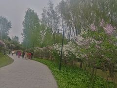 -群力丁香公园