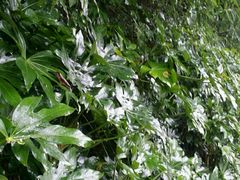 -贵阳市花溪国家城市湿地公园