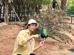 -灵玲国际马戏城