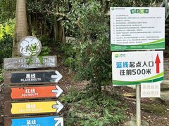 -芦仙山景区-飞越丛林探险乐园