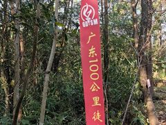 -田野绿世界