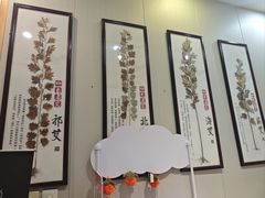 -艾通康缘艾灸.疼痛.睡眠养生馆(凤凰城店)