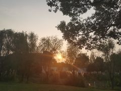 -昆山城市生态森林公园