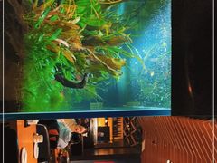 -渔寿司·日本料理(艾尚天地店)