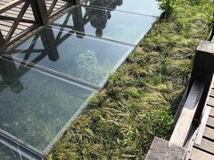 -东关历史文化旅游区-东门遗址