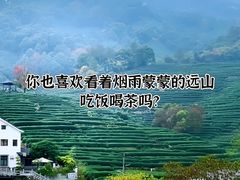 -马灯部落·西湖边的创意山景餐厅(虎跑动物园店)