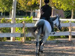 -北京群众马术培训基地