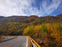 -秦岭风景区