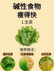 -Fundi张玉珊修身堂·indiba·BTL科技瘦身