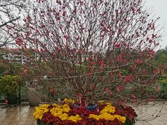 -沙河粉村·国家非遗传承(云台店)