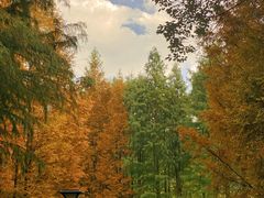 -贵阳市花溪国家城市湿地公园