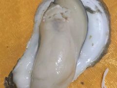 -蚝专家(北滘店)