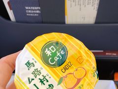 -全日本空输株式会社(上海办事处)