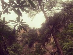 -杭州第一世界大酒店·云曼温泉