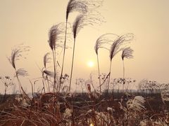 -李时珍纪念馆