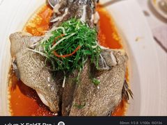 -南海渔村(珠江新城店)