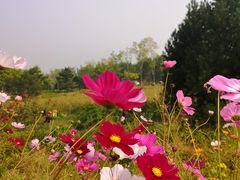 -东郊湿地公园