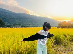 -艾米稻香小镇