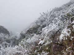 -金子山原生态旅游风景区