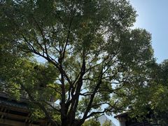 -香积寺