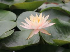 -丝绸小镇荻港古村