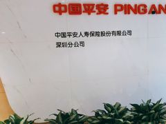-平安人寿深圳分公司皇庭客服中心