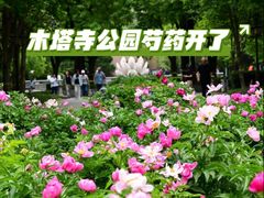 -木塔寺遗址生态公园