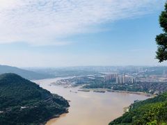 -铁山坪森林公园