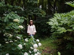 -上海共青森林公园