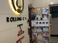 -滚猫咖啡·猫咖·猫友好撸猫(未来城店)