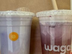 -Wagas沃歌斯(枫蓝国际店)
