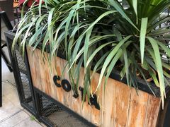 -COSTA COFFEE(中粮祥云店)