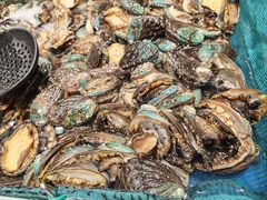 小鲍鱼-初色海鲜自助(万丰路店)